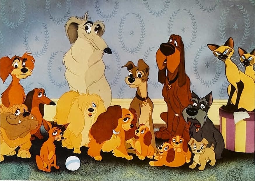 What type of dog is Lady from Lady and the Tramp?
